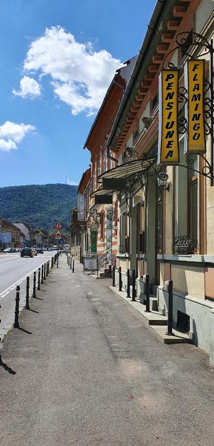 Pension Flamingo Braşov Exteriör bild