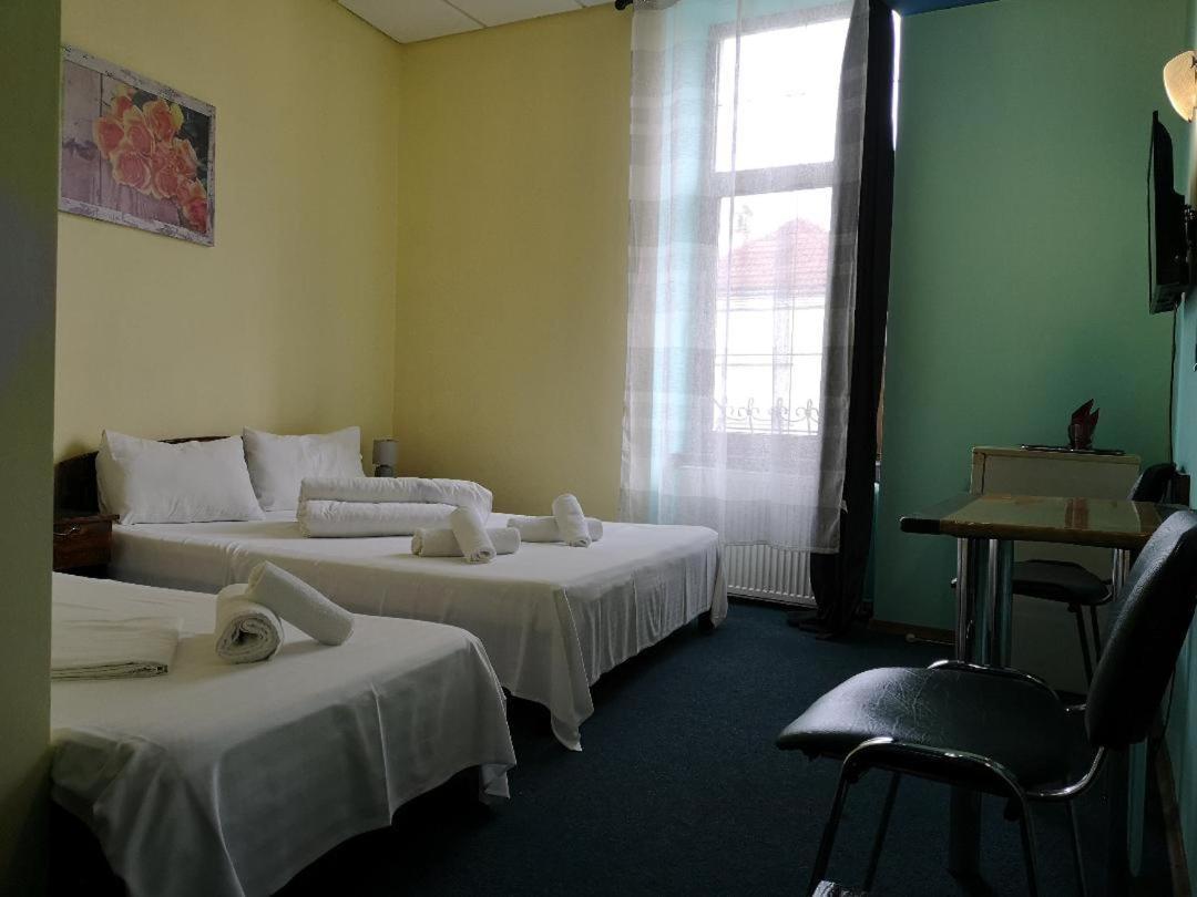 Pension Flamingo Braşov Exteriör bild